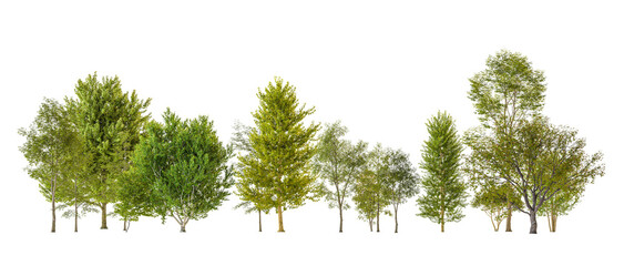 Various green trees 3d  transparent background © tiero