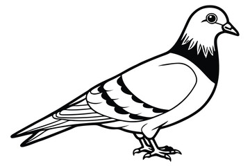 Fototapeta premium pigeon silhouette line art vector illustration with a white background