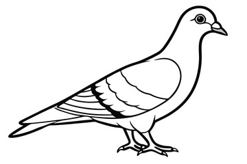 Obraz premium pigeon silhouette line art vector illustration with a white background