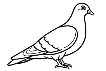 Fototapeta premium pigeon silhouette line art vector illustration with a white background