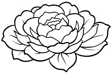 Obraz premium peony flower silhouette line art vector illustration with a white background