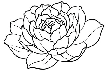 Obraz premium peony flower silhouette line art vector illustration with a white background