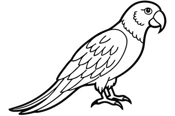 Fototapeta premium parakeet bird silhouette line art vector illustration with a white background