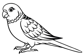 Fototapeta premium parakeet bird silhouette line art vector illustration with a white background