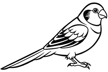 Fototapeta premium parakeet bird silhouette line art vector illustration with a white background