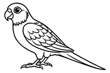 Fototapeta premium parakeet bird silhouette line art vector illustration with a white background