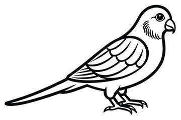 Obraz premium parakeet bird silhouette line art vector illustration with a white background