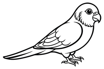 Fototapeta premium parakeet bird silhouette line art vector illustration with a white background