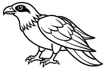 Fototapeta premium osprey bird silhouette line art vector illustration with a white background