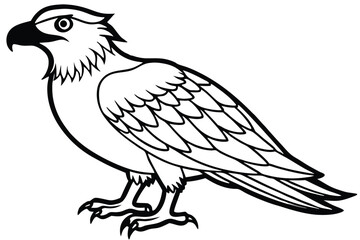 Fototapeta premium osprey bird silhouette line art vector illustration with a white background