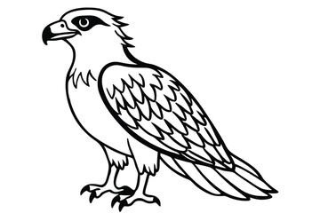Fototapeta premium osprey bird silhouette line art vector illustration with a white background
