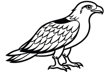 Fototapeta premium osprey bird silhouette line art vector illustration with a white background