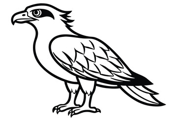 Fototapeta premium osprey bird silhouette line art vector illustration with a white background