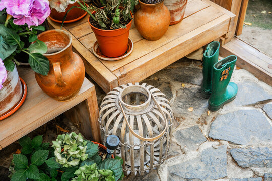 Colorful blooming hydrangeas in rustic terracotta pots on shelf for gardening and floral styling