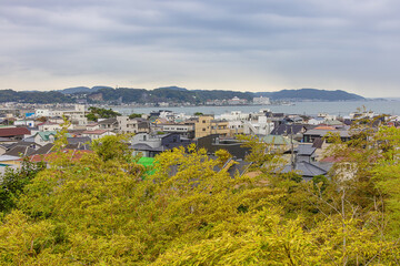 Obraz premium View over Sagami Bay and Kamakura, seen from the platform near the Hase-dera temple complex