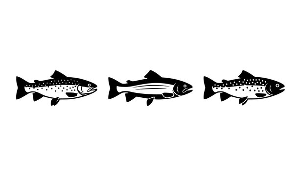 Three Trout Fish Species Icon Set Brown Rainbow and Brook Trout Black Vector Silhouettes Isolated on White Background