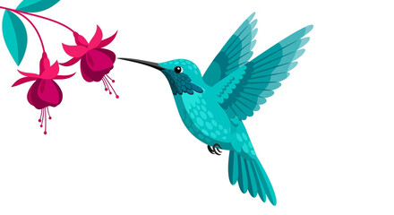 Turquoise Hummingbird Feeding on Fuchsia Flowers © Anisah
