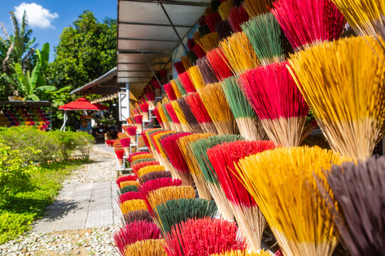 View of a vibrant display of colorful incense sticks, a spectrum of reds, yellows, greens, and purples, drying under the sun in a garden, Hue, Vietnam.