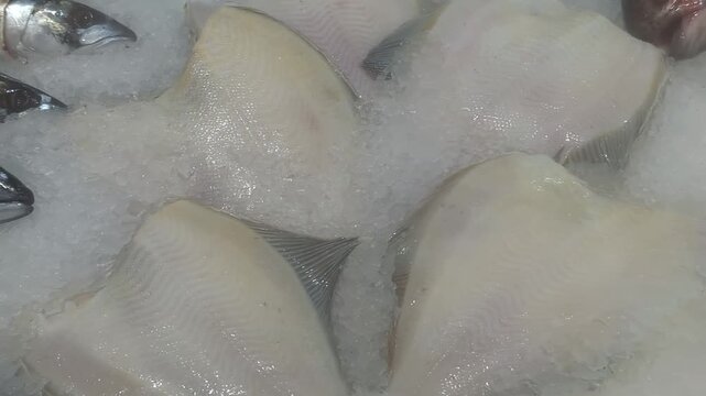 Fresh seafood display shows various fish and shellfish at market