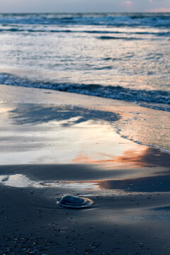 Waves gently rolling onto sandy beach at sunset with reflections