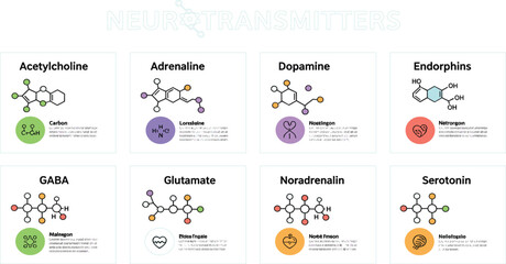 Neurotransmitters Infographic Chart with Chemical Structures of Dopamine Serotonin Adrenaline GABA and Brain Chemistry Elements © MDMAHADI