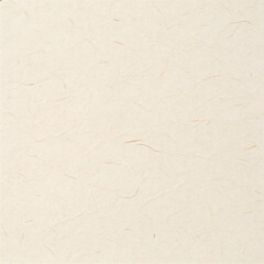 Obraz premium Paper Texture