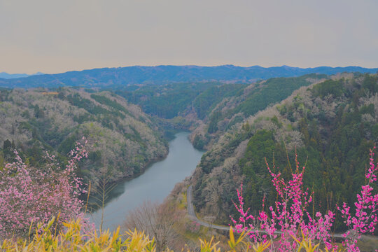 山の間に流れる川を一望できる展望台
