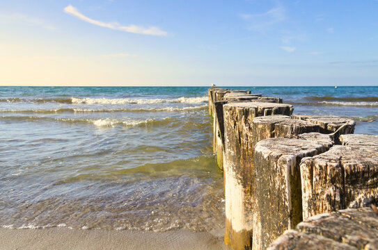Wooden breakwaters (groynes) lead from the sandy beach into the blue sea of ​​the Baltic. Gentle waves lap against the weathered pilings under a clear sky. An idyllic coastal scene.