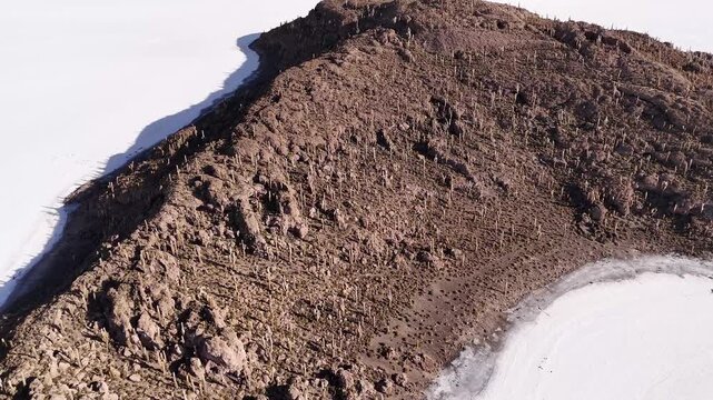 Aerial view of Incahuasi Island, a rocky outcrop covered in cacti, contrasting against the vast white salt flats, Salar de Uyuni, Bolivia.