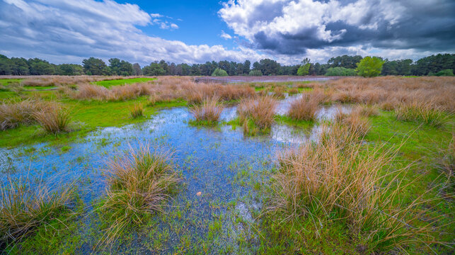 Lagunas de Cantalejo Special Protection Area, Cantalejo, Segovia, Castilla y Le&oacute;n, Spain, Europe