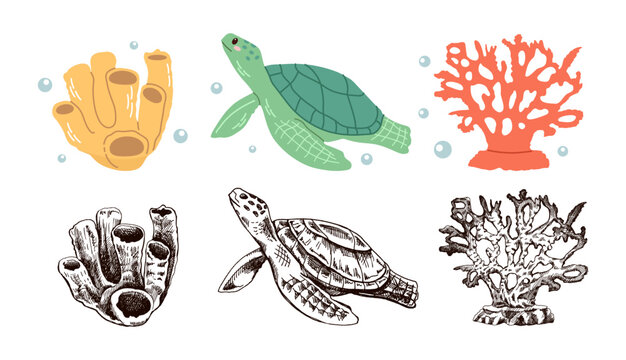 Cute hand drawn marine turtle coral sponge set in flat and vintage line style ocean aquatic vector illustration