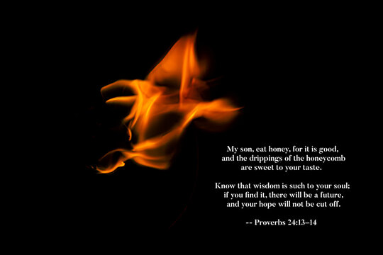 Proverbs 24 13-14
