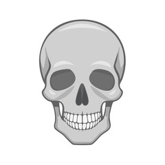 Fototapeta premium Frontal view of a human skull illustration in grayscale for conceptual design