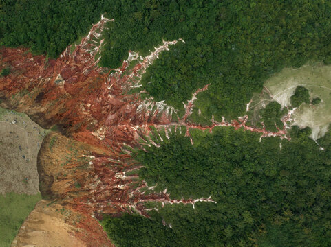 View of the deep earthy hues of a deforested area contrast with the lush green canopy of the forest, creating a stark landscape, Pointe Noire, Congo.