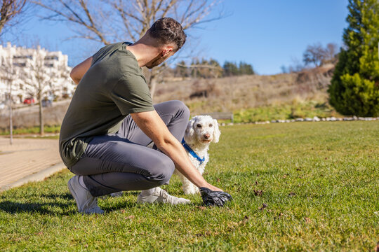 Man cleaning up dog waste in park, responsible pet owner practicing good hygiene