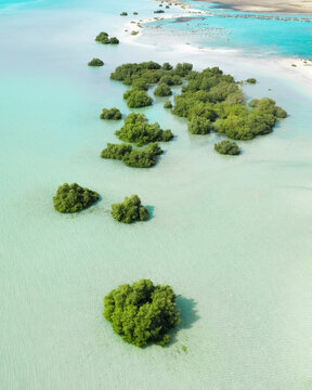 Aerial view of lush green mangroves scattered across the turquoise waters, creating a stunning contrast of color and texture, Dubai, United Arab Emirates.