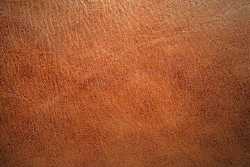 Fototapeta premium brown leather texture closeup