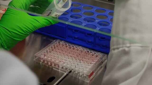 A laboratory technician performs a microbiological test, wearing green gloves, using a microplate, tubes, pipette tips, and a biological safety cabinet.