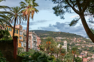 Fototapeta premium Provincial town among the subtropical vegetation on hills at autumn