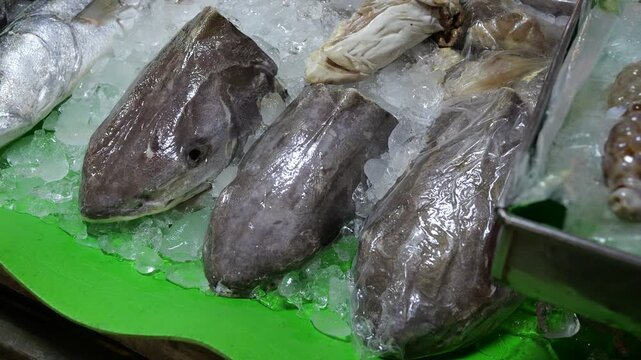 flounder and seafood fresh from the sea in Trat morning market The fishermen will bring it to the shops in the market on a day-to-day basis