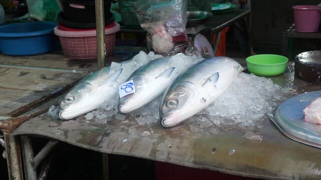 Fresh fish from the sea in Trat's morning market has a price tag of 80 baht on it, and will be delivered by fishermen to market vendors on a day-to-day basis