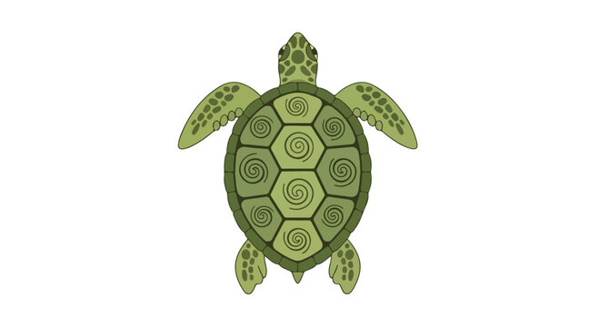 Green turtle shell illustration with extended flippers on a white background in a flat style.
