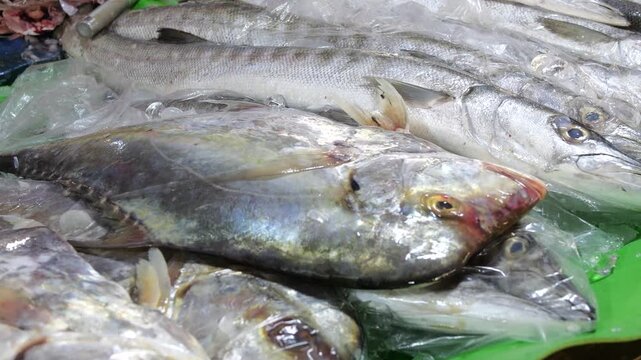Many Fresh fish from the sea in Trat's morning market has a price tag of 80 baht on it, and will be delivered by fishermen to market vendors on a day-to-day basis