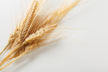 Naklejka premium Wheat stalks placed on a light surface showing the details of the grains and their structure