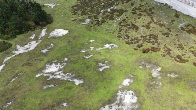 A cinematic aerial tilt up revealing the vast alpine meadows, pine forests, and rugged limestone peaks of Balagezong in ShangriLa. Perfect for travel and nature documentaries.