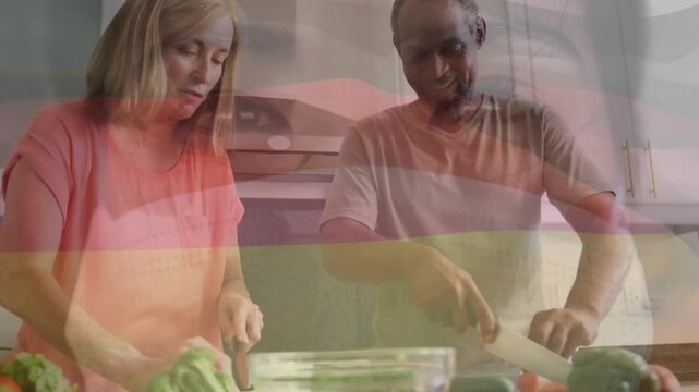 Animation of german flag over diverse couple preparing food