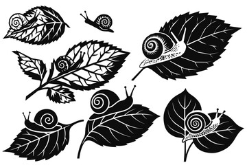 Monochrome woodcut style snail and leaf vector set  © Pens'K