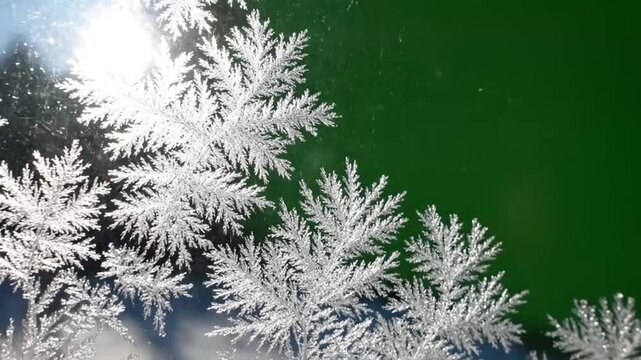 Frosty Windowpane with Sunlight Filtering Through.