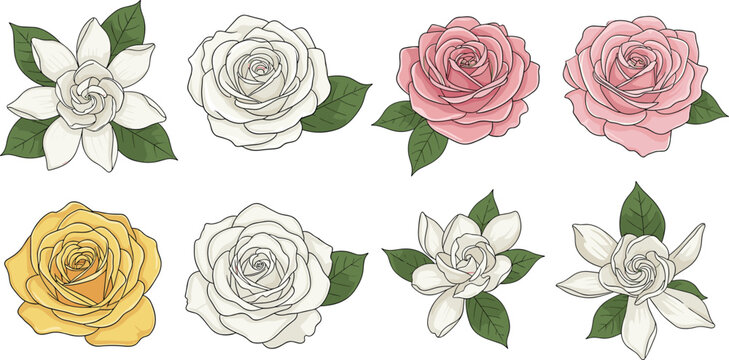 Rose and gardenia flower set with soft pastel botanical style. Elegant blooming flowers with green leaves. Decorative floral elements isolated for wedding and romantic design.