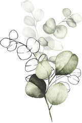 Eucalyptus watercolor and line art modern botanical arrangement © liliia_sinhina